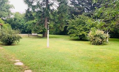 Quinta . | CALLE 426