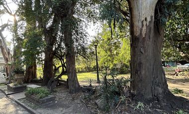 Terreno - Venta - Carapachay - Vicente Lopez