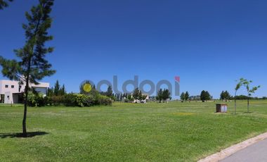 Terreno - El Principado