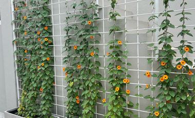 Venta Ph 2 ambientes al fondo, Beccar