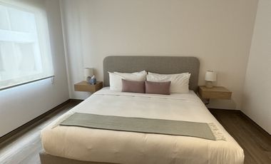 Edificio en venta con19 departamentos amueblados en col Roma, Tonala