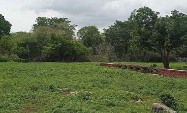 Terreno de 297 Hectáreas carretera  Tetiz - Celestún