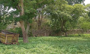 Terreno de 297 Hectáreas carretera  Tetiz - Celestún