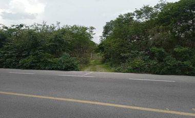 Terreno de 297 Hectáreas carretera  Tetiz - Celestún
