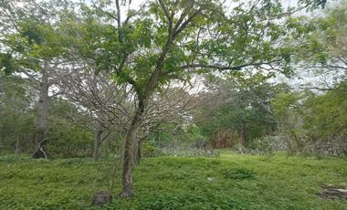 Terreno de 297 Hectáreas carretera  Tetiz - Celestún