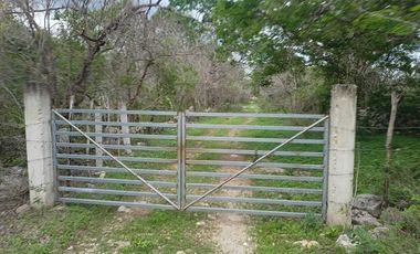 Terreno de 297 Hectáreas carretera  Tetiz - Celestún