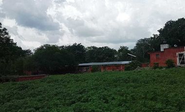 Terreno de 297 Hectáreas carretera  Tetiz - Celestún