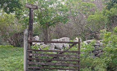 Terreno de 297 Hectáreas carretera  Tetiz - Celestún