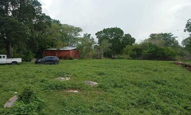 Terreno de 297 Hectáreas carretera  Tetiz - Celestún