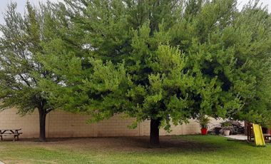 Quinta en Venta en Portal del Norte en Zuazua, N.L.