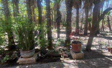 CASA TIPO HACIENDA EN RENTA EN SAN MIGUEL DE ALLENDE