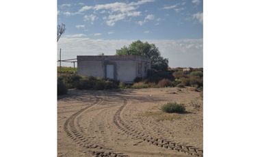 VENDE Finca de 60 Has. Montecaseros, San Martín, Mendoza.