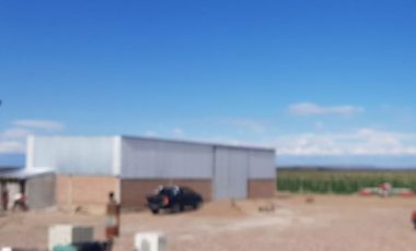 VENDE – FINCA DE 86 HECTREAS, UBICADAS EN ANCHORIS, TUPUNGATO,MENDOZA