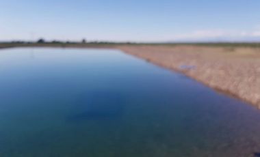 VENDE – FINCA DE 86 HECTREAS, UBICADAS EN ANCHORIS, TUPUNGATO,MENDOZA