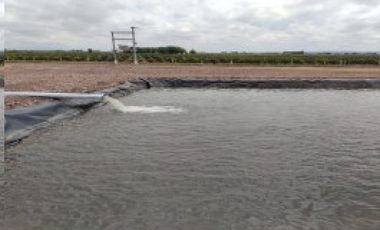 VENDE – FINCA DE 86 HECTREAS, UBICADAS EN ANCHORIS, TUPUNGATO,MENDOZA