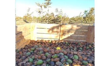 VENDE – FINCA DE 86 HECTREAS, UBICADAS EN ANCHORIS, TUPUNGATO,MENDOZA