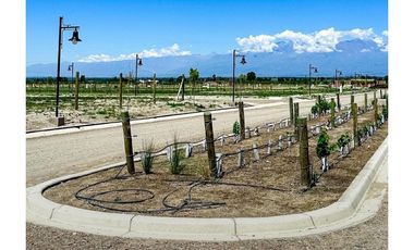 VENDE LOTES!!! en BARRIO PRIVADO TUPUNGATO VALLEY, MENDOZA.