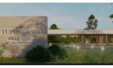 VENDE LOTES!!! en BARRIO PRIVADO TUPUNGATO VALLEY, MENDOZA.