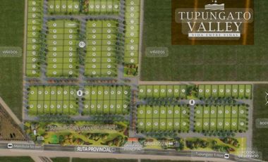 VENDE LOTES!!! en BARRIO PRIVADO TUPUNGATO VALLEY, MENDOZA.