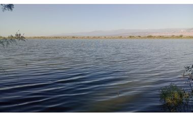 VENDE – FINCA DE 886,38 HECTREAS, UBICADAS LAVALLE, MENDOZA