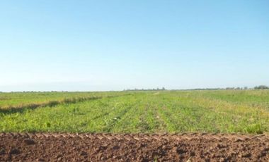 VENDE – FINCA DE 886,38 HECTREAS, UBICADAS LAVALLE, MENDOZA