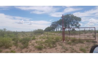 VENDE – FINCA DE 1.300 HAS, UBICADA EN LAS CATITAS, MENDOZA.