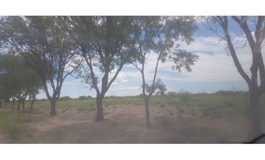 VENDE – FINCA DE 1.300 HAS, UBICADA EN LAS CATITAS, MENDOZA.
