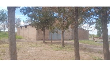 VENDE – FINCA DE 1.300 HAS, UBICADA EN LAS CATITAS, MENDOZA.