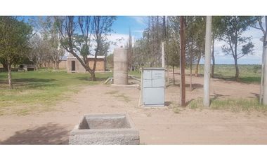 VENDE – FINCA DE 1.300 HAS, UBICADA EN LAS CATITAS, MENDOZA.