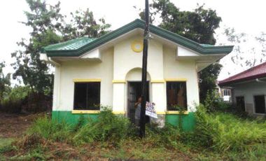 R-2024000110: Acquired Property House & Lot for Sale in Lot 17, Blk. 1, Diamond St., Emerald Coast Exec. Vill., Brgy. Peas / Duale, Limay, Bataan