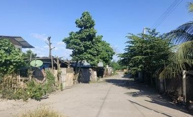 R-2024002168: Acquired Property Vacant Lot for Sale in Lot 2, Pcs-116303-001882,Purok Bansil, Brgy. Tambler, General Santos City, South Cotabato