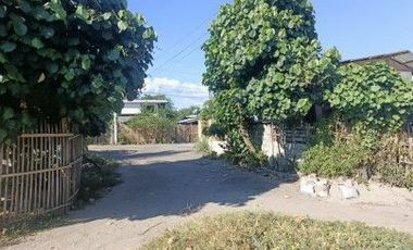 R-2024002169: Acquired Property Vacant Lot for Sale in Lot 1, Pcs-116303-001882,Purok Bansil, Brgy. Tambler, General Santos City, South Cotabato