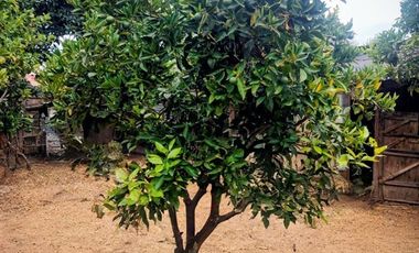 Casa en Venta en 5 sur entre 4 y 5 oriente