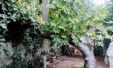 Casa en Venta en 5 sur entre 4 y 5 oriente