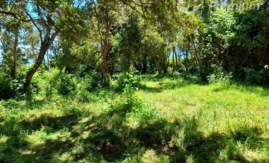 Sitio en Venta en Inversión excepcional en Chiloé: 5,52 ha regularizadas con vista a la ruta naviera