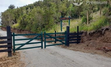 Sitio en Venta en Inversión excepcional en Chiloé: 5,52 ha regularizadas con vista a la ruta naviera