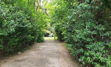 Terreno de 3 Hectáreas en F. Varela con Oficinas, Nave Industrial y Depósito (SE ESCUCHAN OFERTAS)