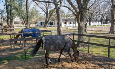 Casa - Highland Park