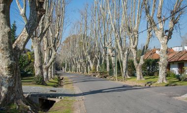 Casa - Highland Park