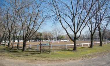 Casa - Highland Park