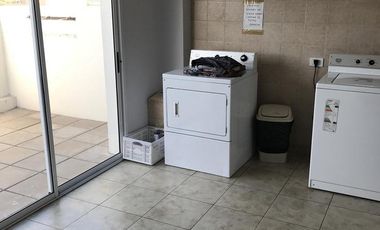 SANTILLI - BROWN 3264 1ºC - Temperley Este