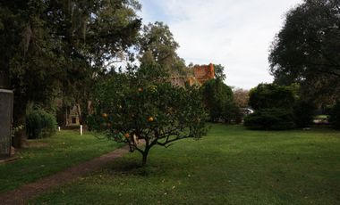 CASA QUINTA DE 12000 M 4 LOTES MEJOR ZONA DEL VISO