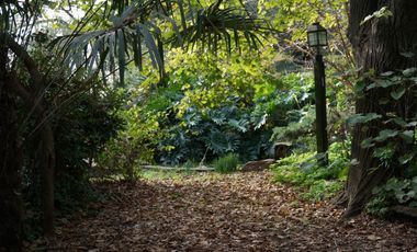 CASA QUINTA DE 12000 M 4 LOTES MEJOR ZONA DEL VISO