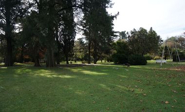 CASA QUINTA DE 12000 M 4 LOTES MEJOR ZONA DEL VISO