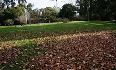 CASA QUINTA DE 12000 M 4 LOTES MEJOR ZONA DEL VISO