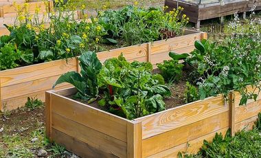 Casa en Arriendo en Condominio Rancho Lomas Verdes