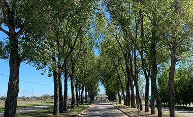 Casa - La Alameda - Venta - Esteban Echeverría - Canning