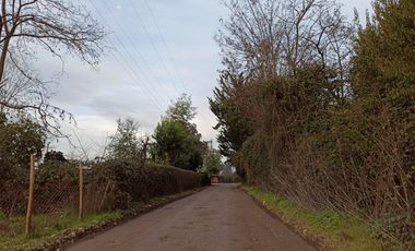 VENTA PROPIEDAD AGRÍCOLA 90 HA EN LINARES