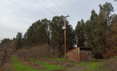 VENTA PROPIEDAD AGRÍCOLA 90 HA EN LINARES