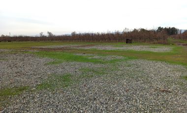 VENTA PROPIEDAD AGRÍCOLA 90 HA EN LINARES